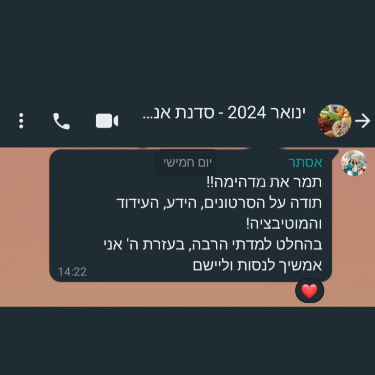 המלצה 1