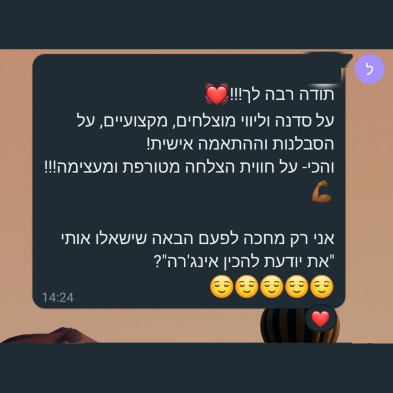 המלצה 2