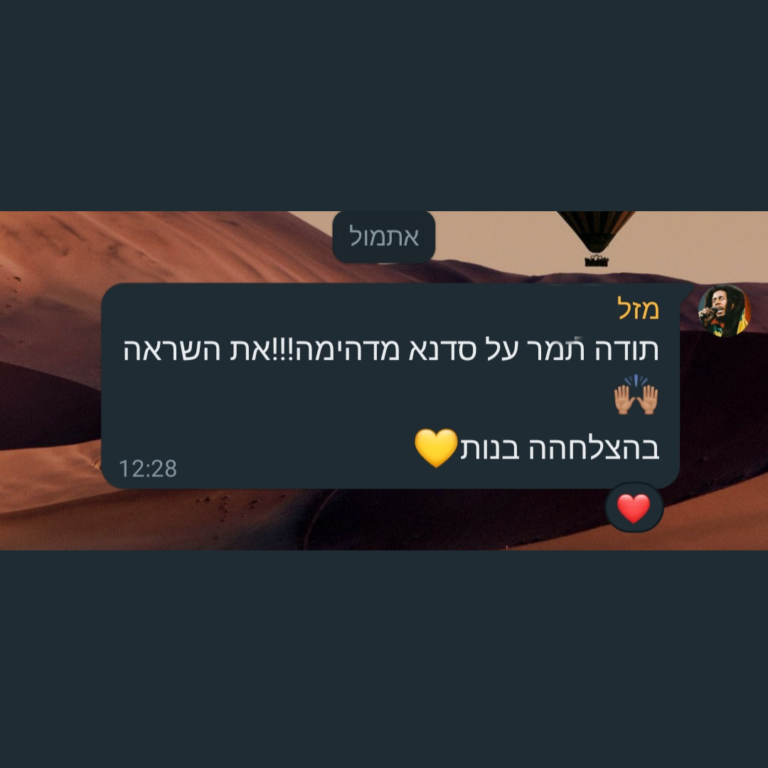 המלצה 4