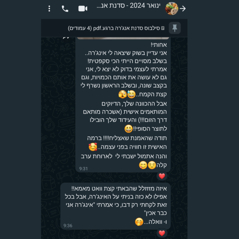 המלצה 9